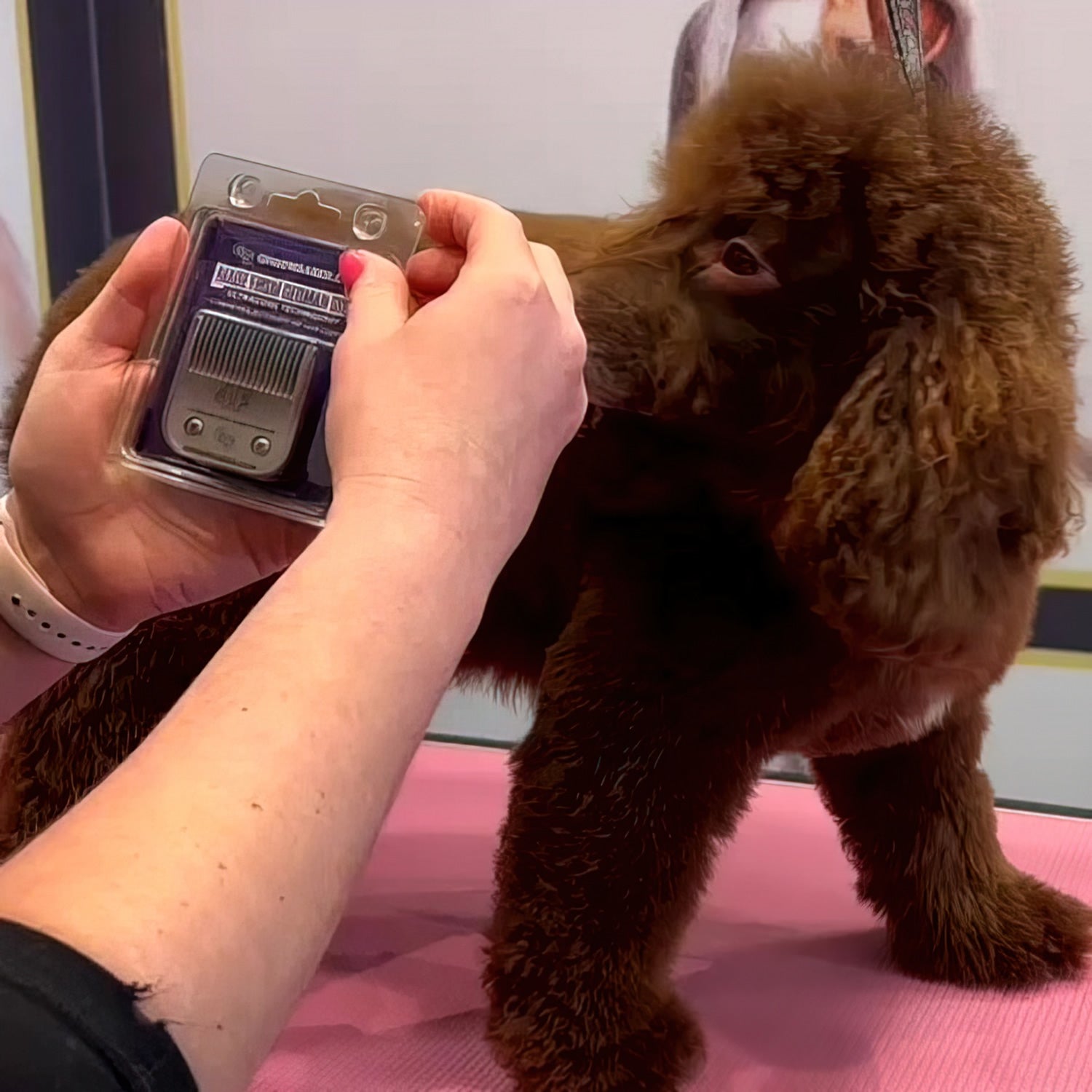 4F Dog Clipper Blade (9.5 mm)